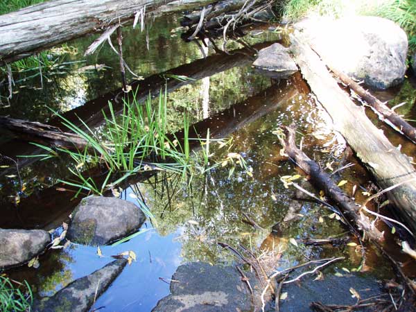 Stream crossing