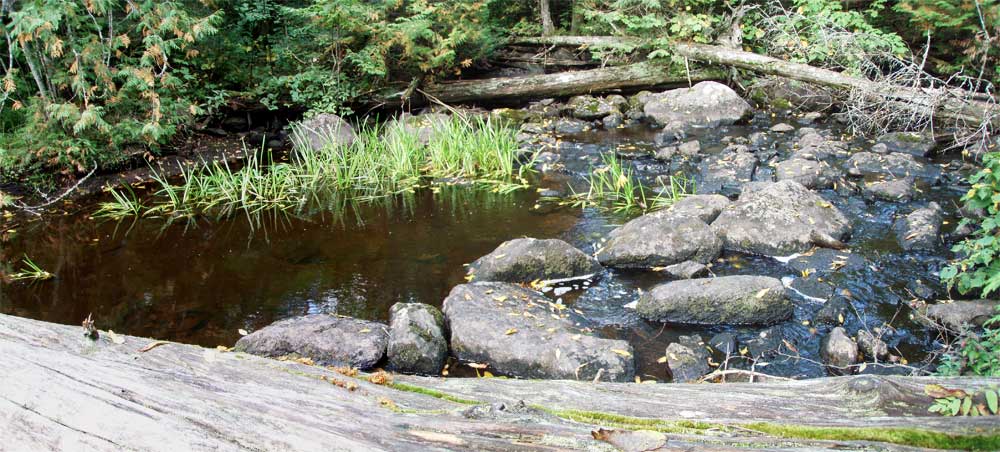 Stream crossing panorama