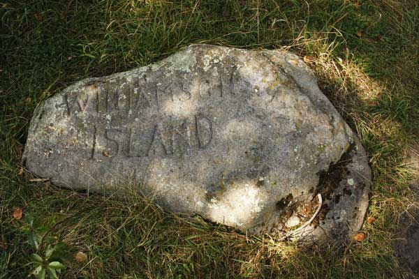 Williamson Island carved rock