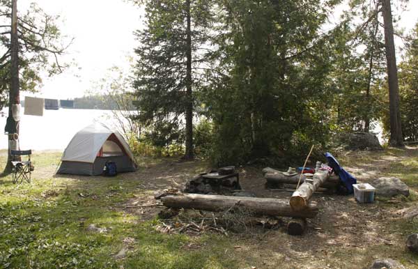 Williamson Island campsite