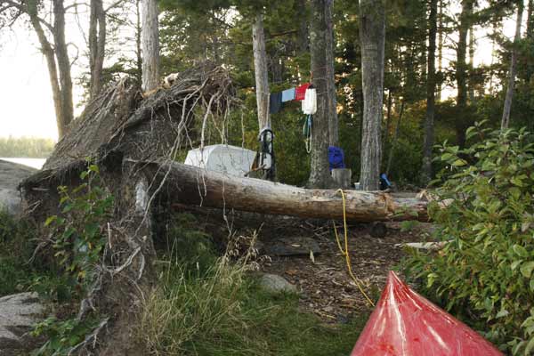 Ima Lake campsite 1