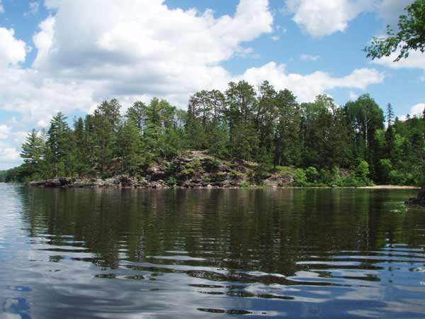 Loon Lake site 12