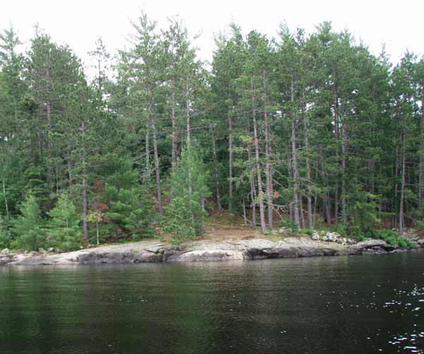 Loon Lake site 24