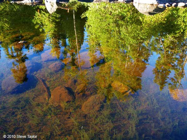 Lake Insula reflections