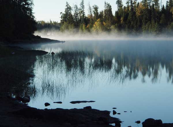 Lake Insula horsetails