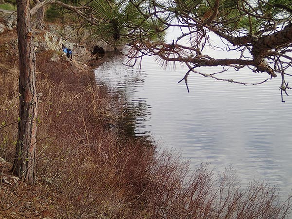 Food stash on Sag Lake