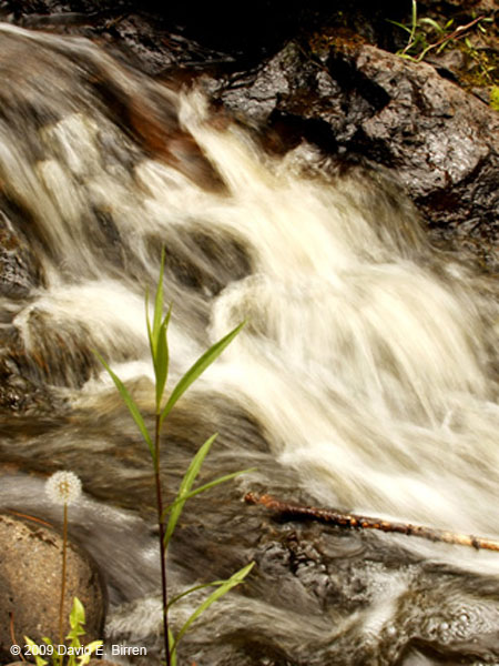 0906_Falls16a_LR