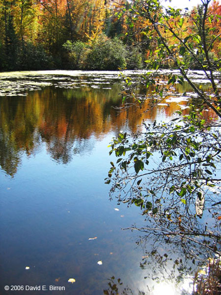 0610_OldAbeTrailPond4_LR