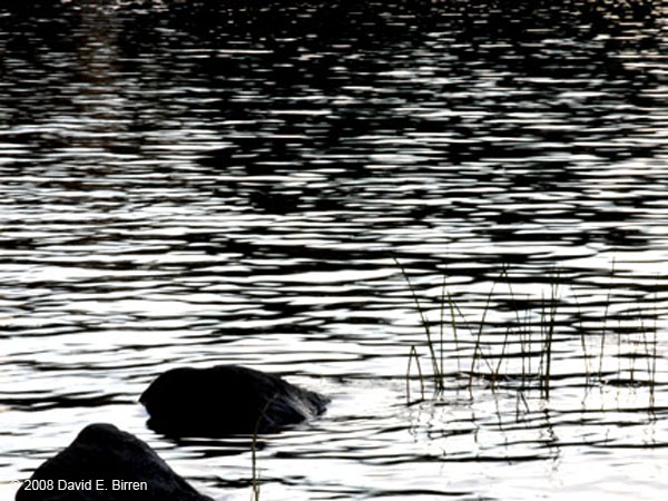 0808_BWCA-Agnes1_LR