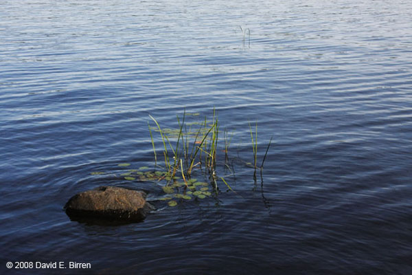 0808_BWCA-Agnes3_LR